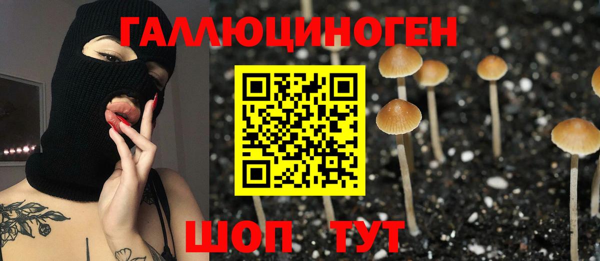 магазин  наркотиков  Галлюциногенные грибы прущие грибы  Вход с VPN  Галлюциногенные грибы Psilocybine cubensis  Лянтор 